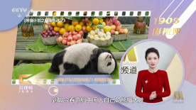 2022-05-30 观点 | 热剧能否不在“脸”上吃亏 2020-05-18 聚焦热点、痛点、难点，这场大会将探讨广电媒体如何融合发展 2020-09-01 金球奖外网热门瞬间盘点 《小丑》最受网友青睐 2020-01-07 于1月6日（北京时间）结束的第77届电影电视金球奖在外网最热门的瞬间、影视、明星统计出炉 迪丽热巴时尚封面大片新出炉 身姿婀娜分外撩人 2017-09-14 电视剧《秦时丽人明月心》正在热播中，渐入高潮的剧情引人关注，剧中迪丽热巴饰演的丽姬情感走向也成了近期观众们热议的焦点。